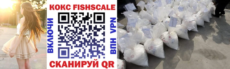 Купить закладки Медвежьегорск Cocaine Fish Scale